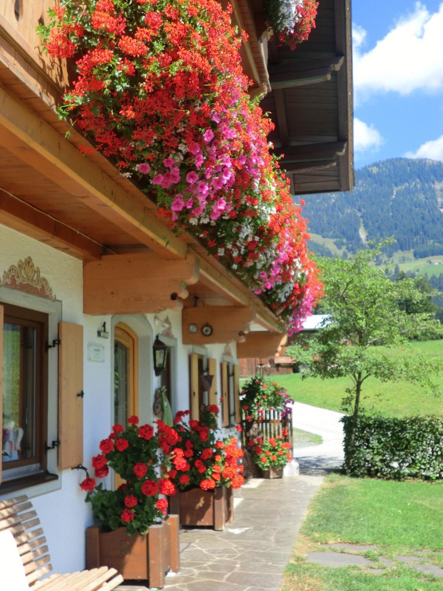 Vornbichlhof Apartment ฟีบาบรุนน์ ภายนอก รูปภาพ